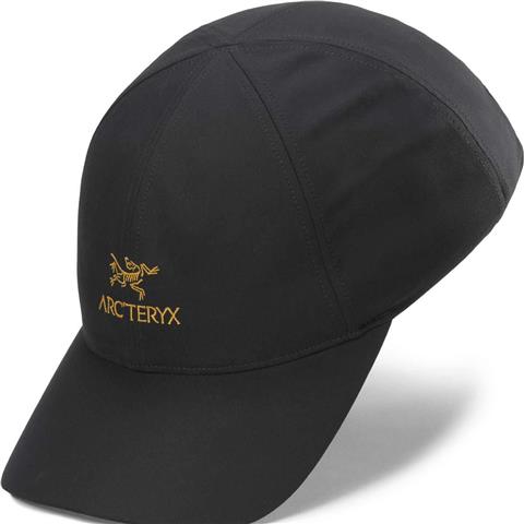 f27_x000009463_001929_bird-word-cap_24k-black_neutral_s-m_front_transp