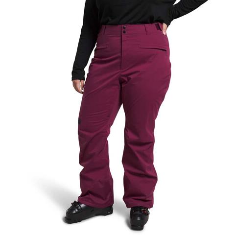 fw2324_tnf_womensplusfreedomstretchpant_boysenberry_1