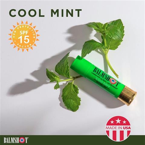 fw25-balmshot-coolmint-01